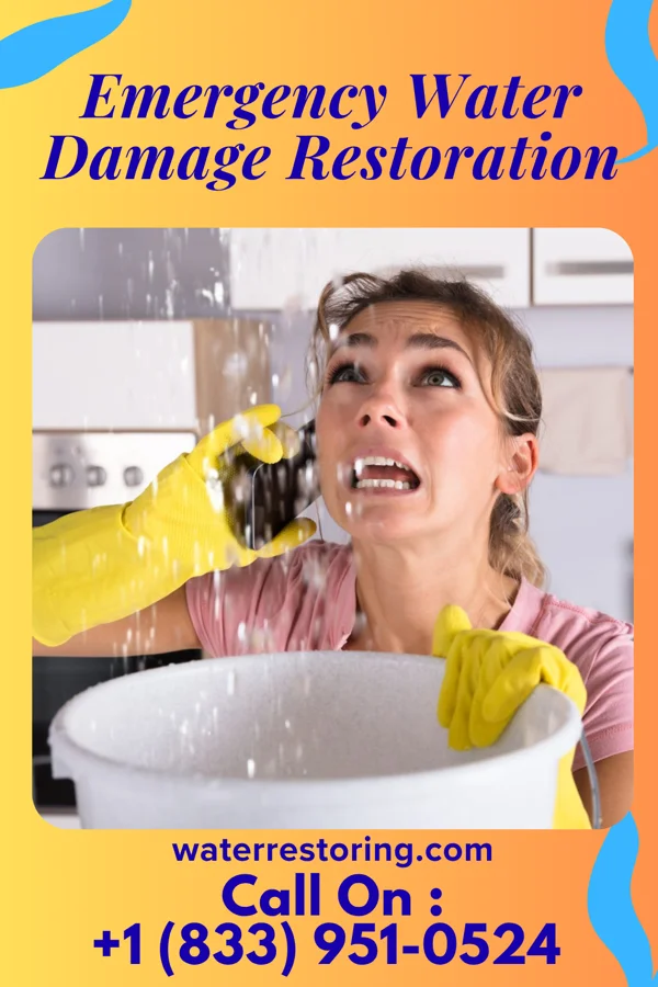 Emergency Water Damage Restoration in Roslyn Harbor, NY