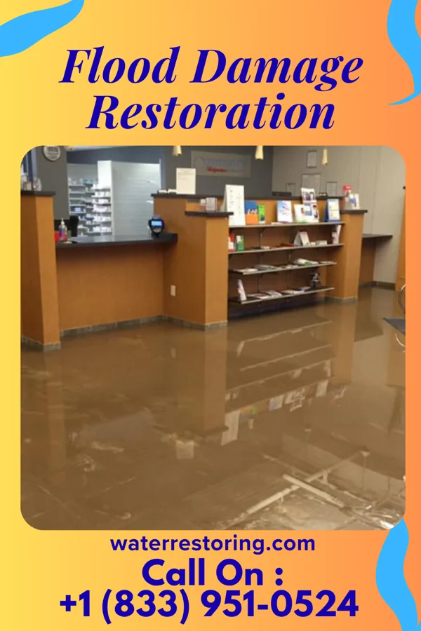 Flood Damage Restoration in Roslyn Harbor, NY