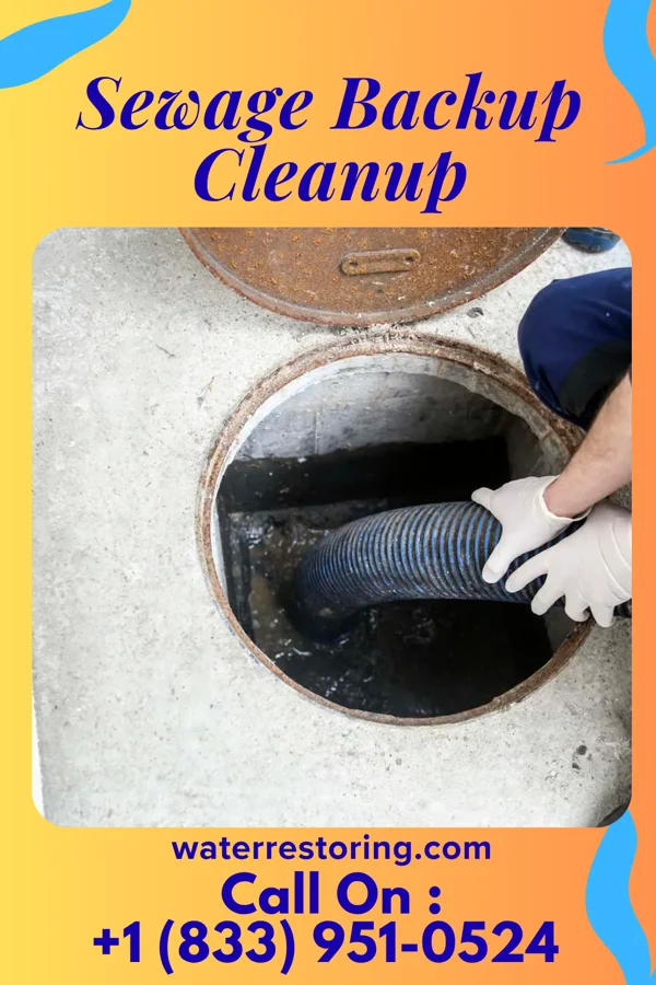 Sewage Backup Cleanup in Roslyn Harbor, NY