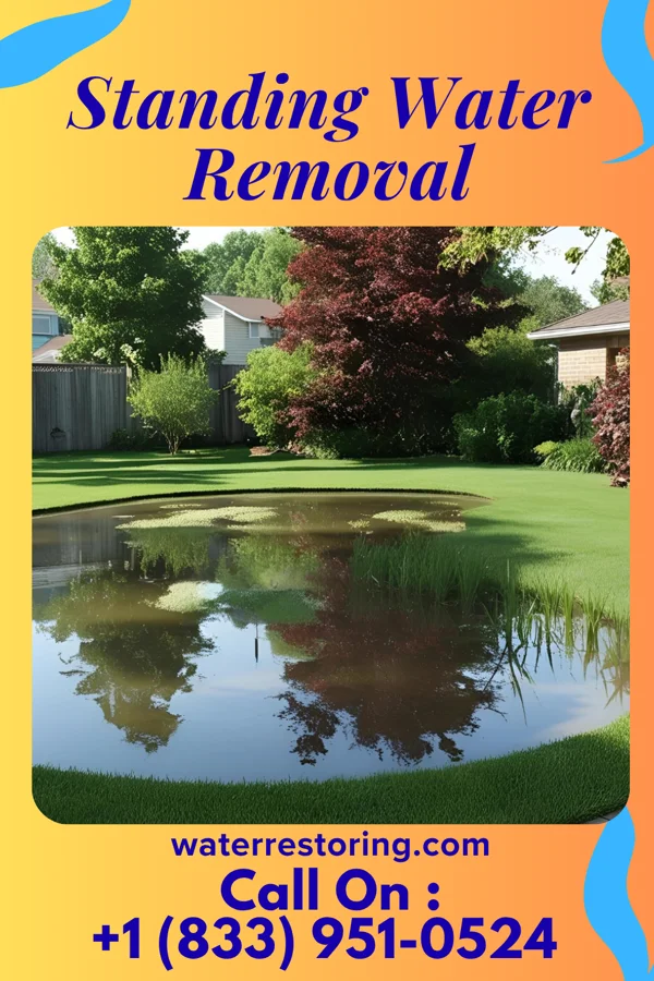 Standing Water Removal in Roslyn Harbor, NY
